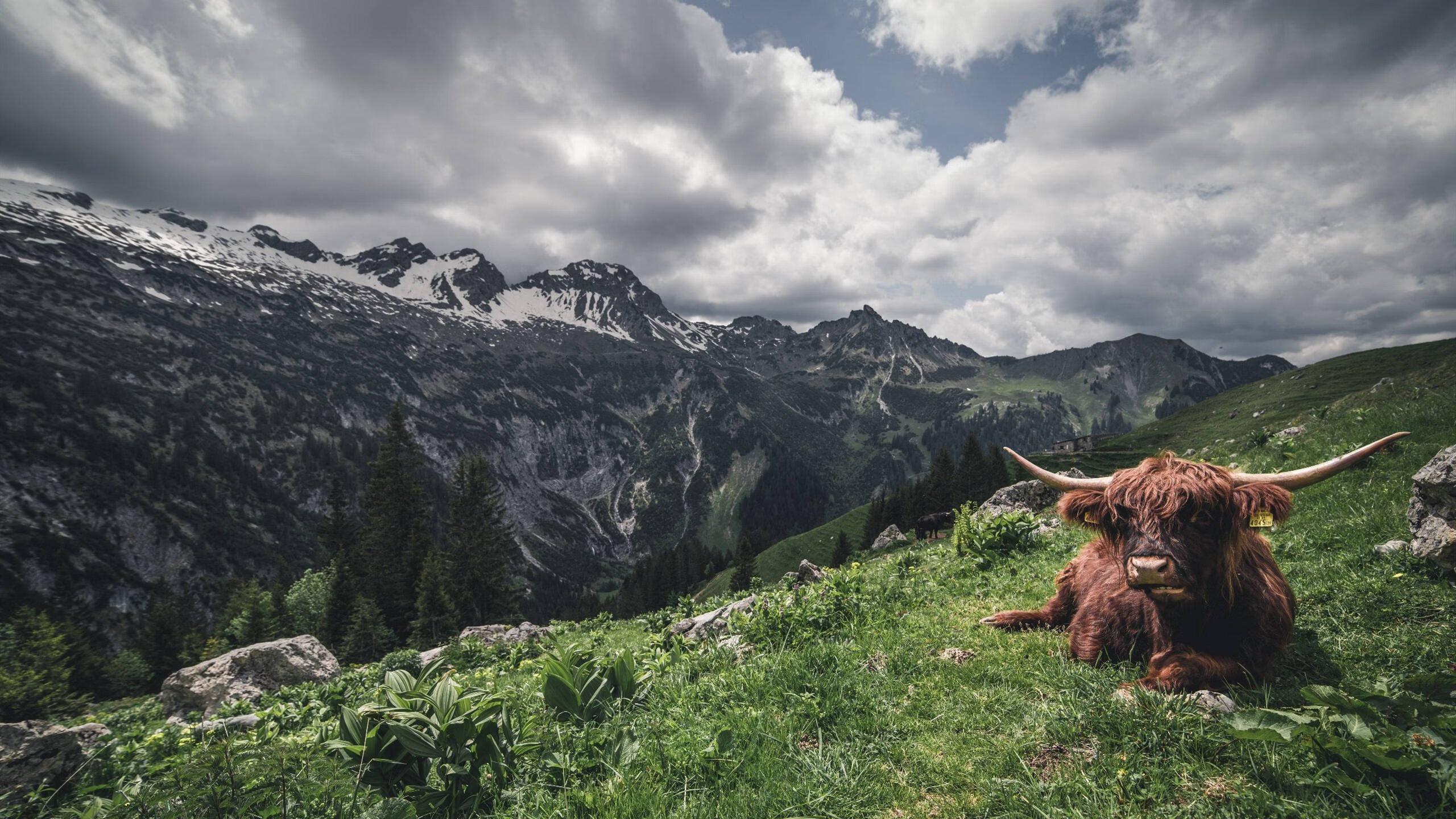 光荣与梦想：NBA明星们的平凡日常